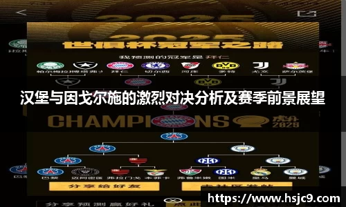 汉堡与因戈尔施的激烈对决分析及赛季前景展望
